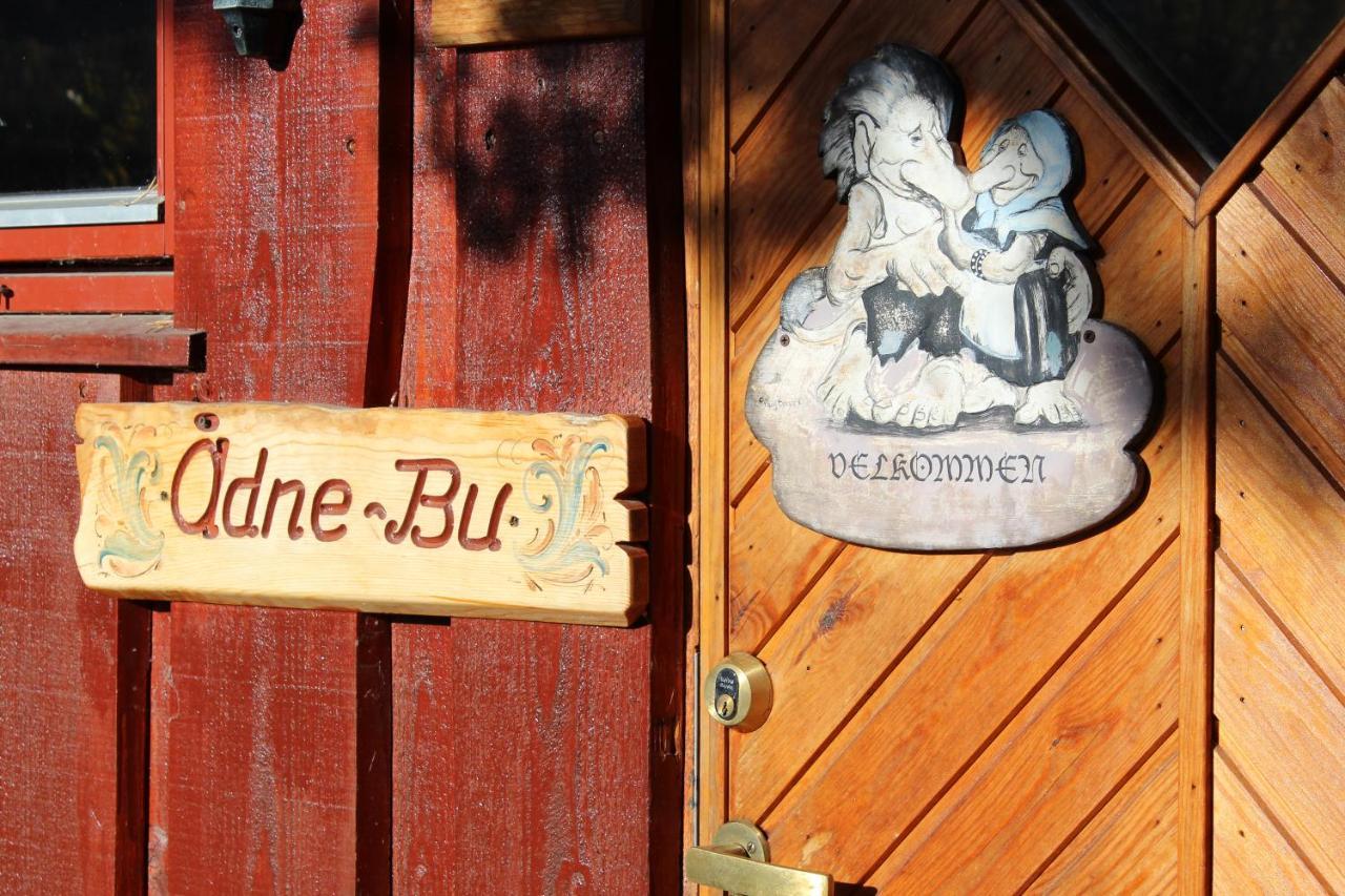 Ådne-Bu, 8 persons cabin in Geilo Exterior foto