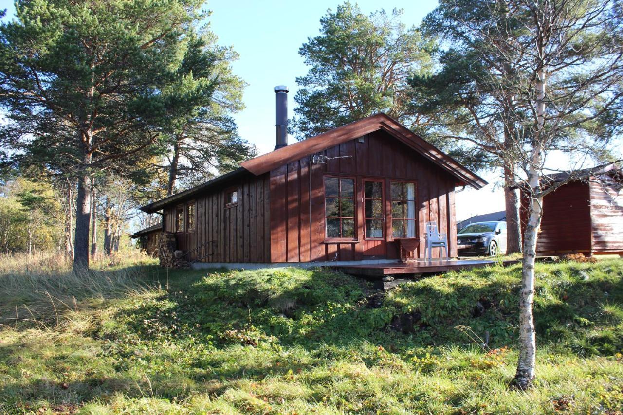 Ådne-Bu, 8 persons cabin in Geilo Exterior foto
