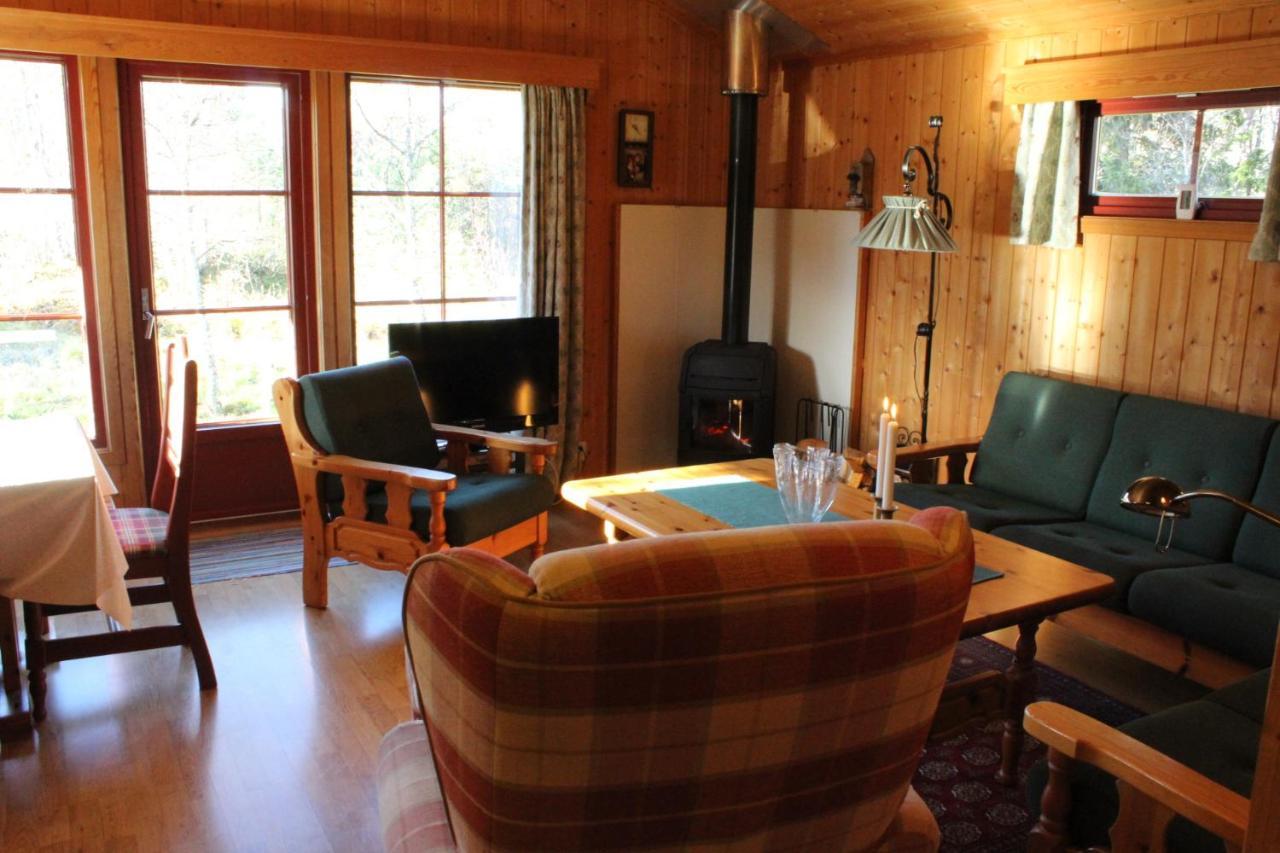 Ådne-Bu, 8 persons cabin in Geilo Exterior foto